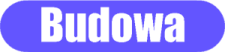 Budowa koralowców